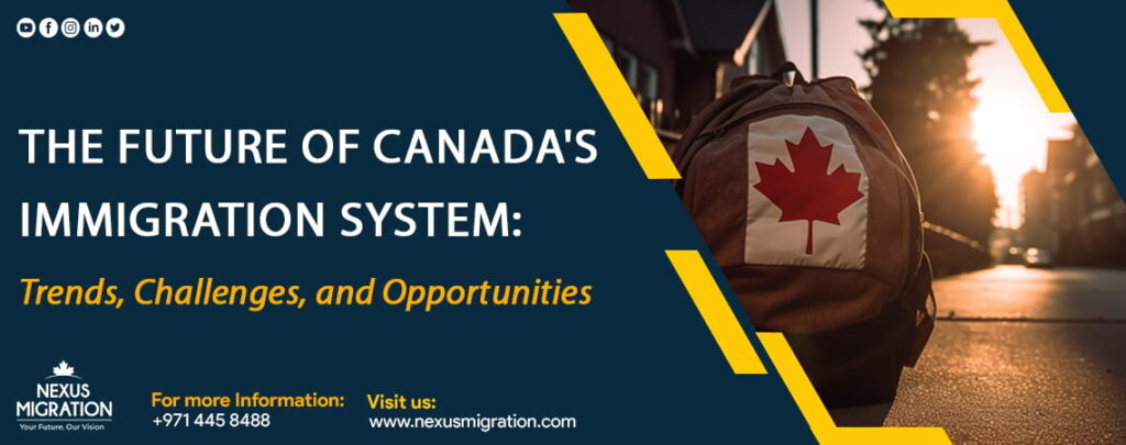 Best Migration Service Dubai Review