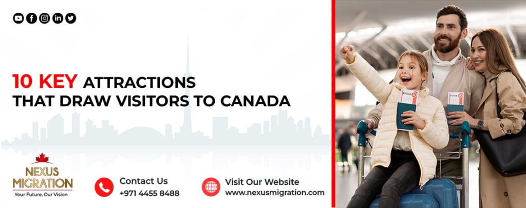 Best Visa Consultants & Immigration Company