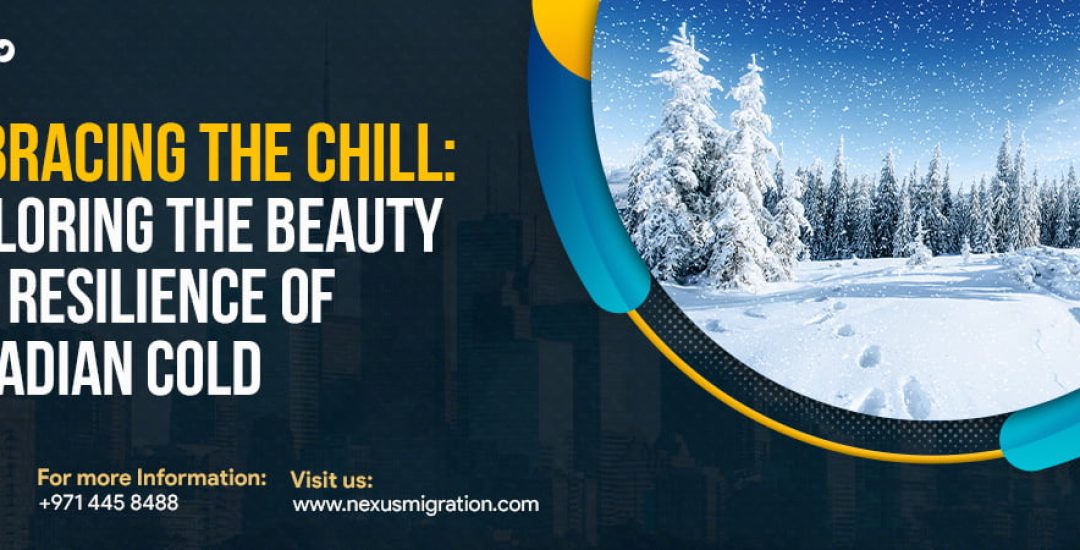 Nexus Migration Dubai